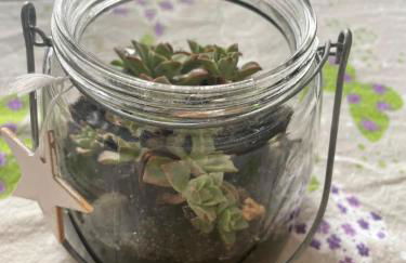 Casa Cleotti - Foto 17