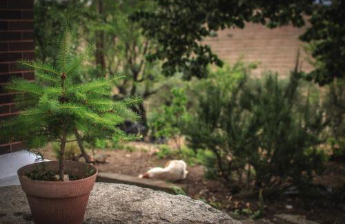 Bela Vista Silo Housing - Foto 27