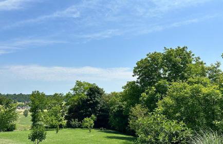 Villa Pine Log by Villas Guide - Foto 50