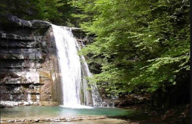 Agriturismo Poggio di Montepescoli - Il Ciliegio - Foto 35