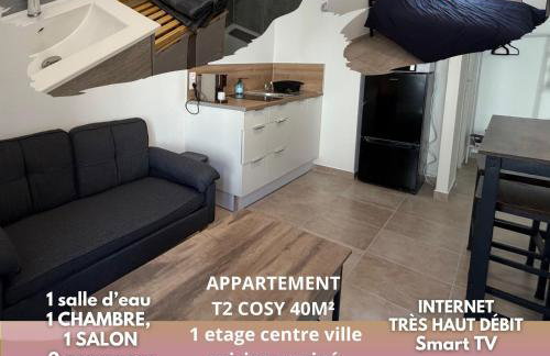 logis des Adhemar ,apparts cosy centre ville ,sejour-tricastin - Foto 9