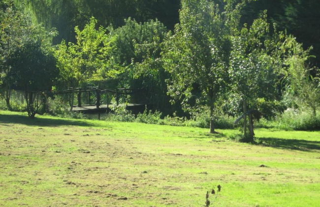 Idyllic Lakeside Cottage - Foto 32