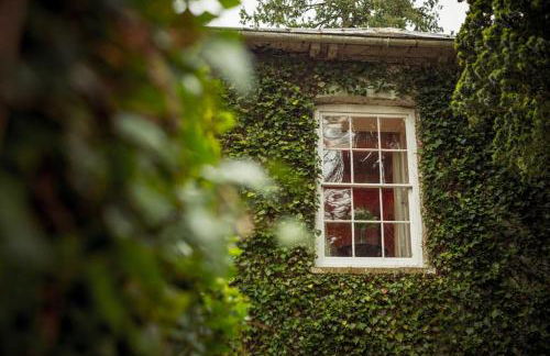 Gelly Dylan Thomas Paradise - Foto 18