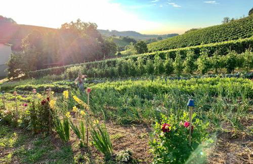 Ferienapartment Huber - Foto 23