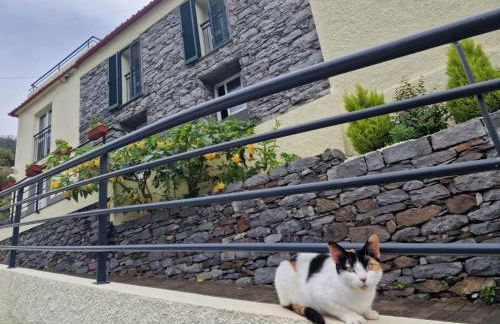 Green Valley House Madeira - Foto 7