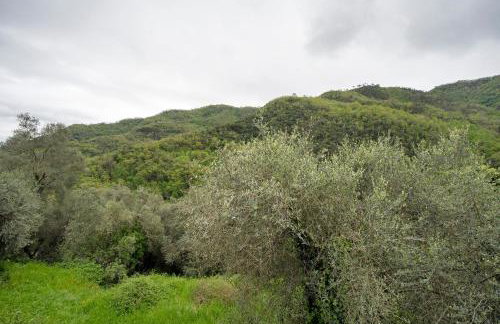 Loggia Oliveto - Foto 22