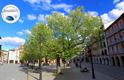 Apartamentos Amaiur - Foto 16