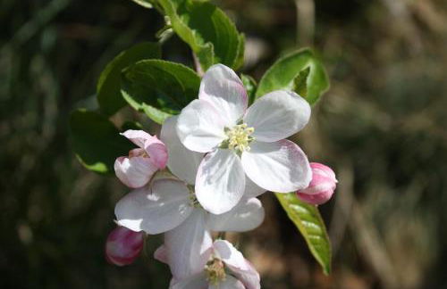 Ferienbauernhof Masunerhof - Foto 19