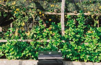 Pucaré Apartments - Foto 37