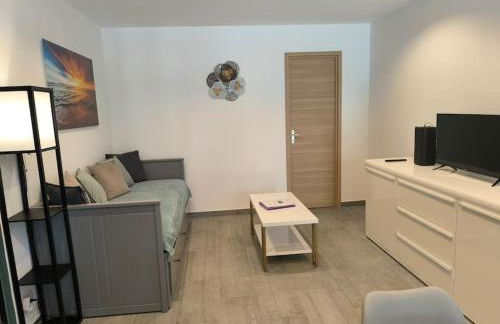 Rez de Villa au calme piscine chauffée, terrain pétanque - Photo 7