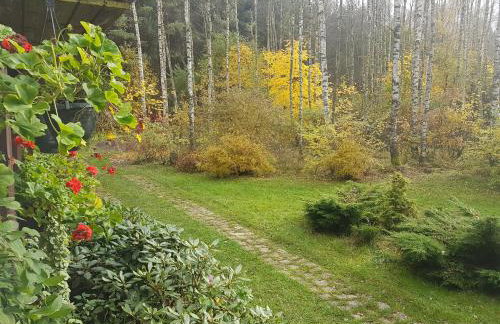 Villa Stare Osieczno - Foto 54