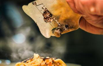 Tenuta del Perugino - Foto 18