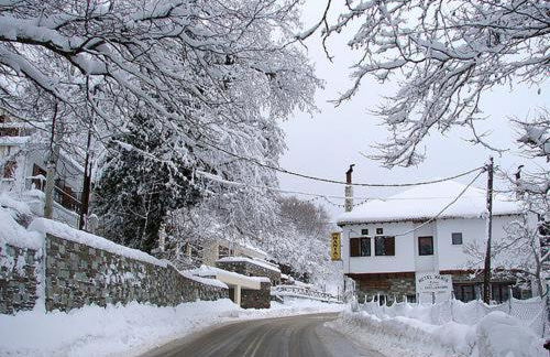 Elvira's houses - Foto 43