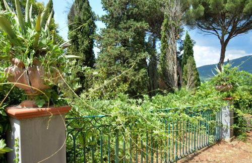 Il Maggese - Photo 34