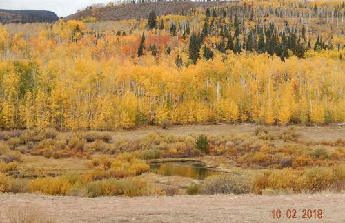 Wapiti Retreat at 22 West Cabins and Recreation - Foto 16