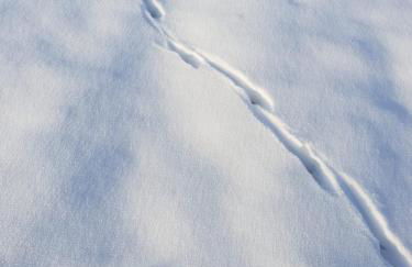 Allgäu Bergluft - Photo 55