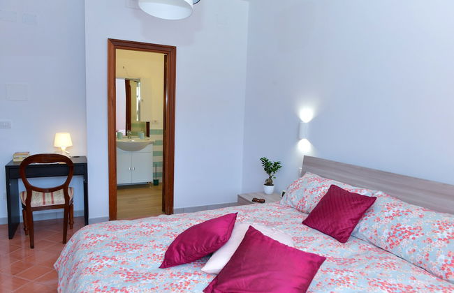 Sofia flora - Photo 23