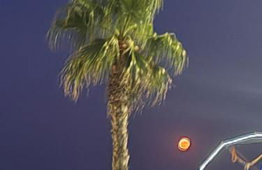 Studio SAM - Face à la Mer - Foto 27