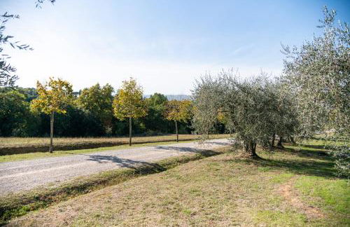 San Carlo a La Molinella - Photo 34