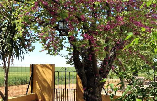 Cortijo de Vega Grande - Foto 37