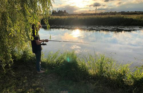 Elm Cottage at Gravel Farm - Photo 17