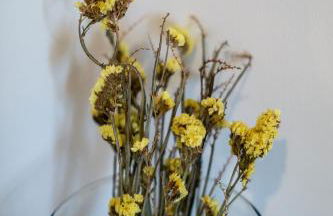 Im HYGGE skandinavisch wohnen mitten in Chemnitz - Foto 19