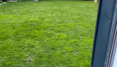 Studio cosy avec jardin Chatou - Foto 3, Garden view