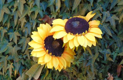 Villa Riaza - Foto 15