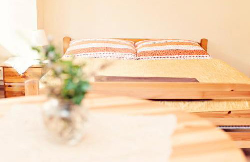 Agroturystyka Wzgórze Magnolii - Foto 35