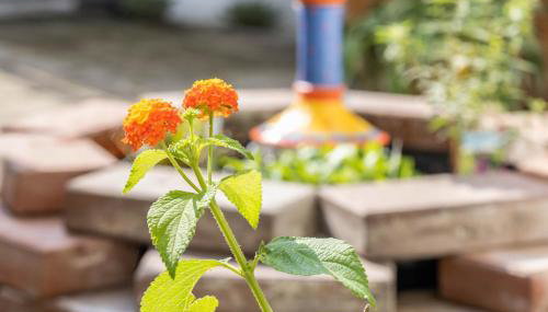 Nostalgie Apartment - Foto 4