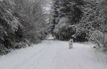 Chalet des fontaines claires - Foto 38