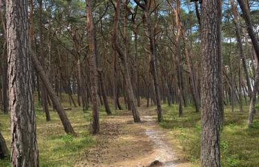 Hevenia Apartament 14 Nadmorski Wiatr- Mrzeżyno - Foto 28