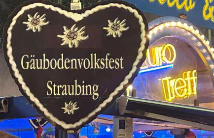 Altstadtloft Straubing - Foto 17