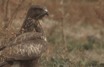 Refugios Del Valle Negro - Foto 50