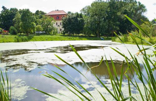 Pałac Kietlin - Foto 12