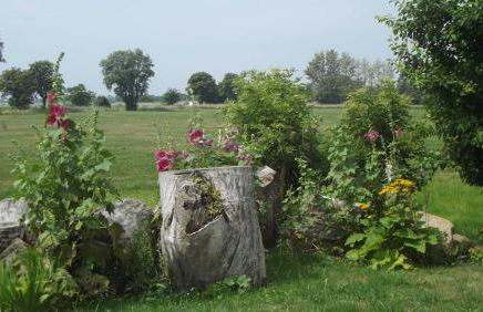Idyllisch gelegene Ferienunterkuen - Foto 24