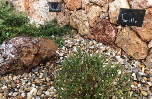 CASA GRANADO en Cabo de Gata - Foto 37