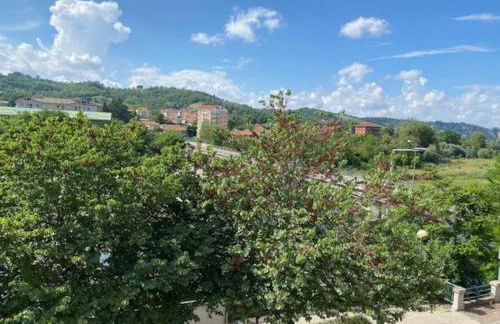 Lo scrigno dei nonni - Photo 19