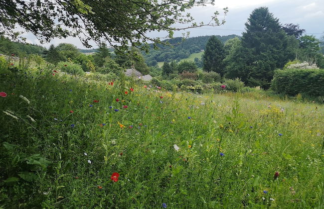 1 Bed Studio in Two Dales, Near Matlock & Bakewell - Foto 20