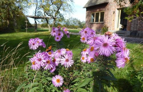 Erholung auf dem Land zwischen Ostsee und Schlei - Foto 28
