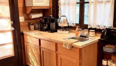 Romantic Ozarks Cabin Rental in Secluded Woodland near Branson, Missouri - Foto 3