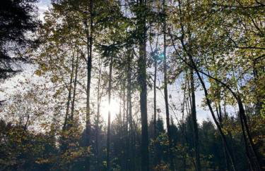 RELAX CHALET Nature Retreat - isolé sur 3 hectares - confort de LUXE - maison entière 150m2 - près de La Bresse - Foto 38