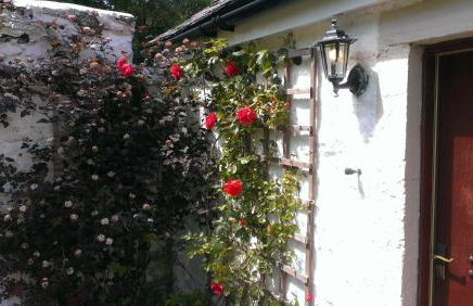 Whitestone Cottage - Foto 30