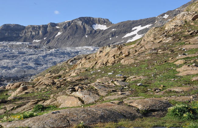 Sumpfbödeli - Foto 7