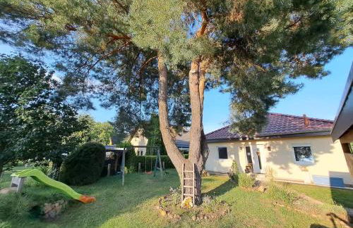 Peaceful House near Lakes - RON - Photo 1