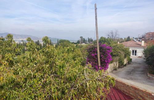 Finca Vista El Montanes - Photo 62