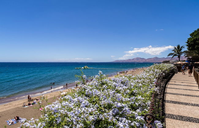 LABRANDA Los Cocoteros - Photo 43