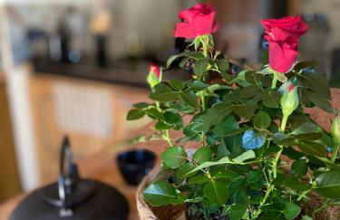 L'instant présent - Foto 42