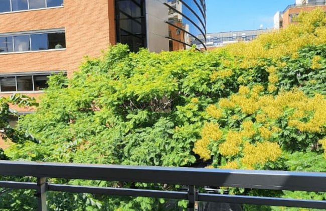 Studio Moderno en Puerto Madero - Foto 28