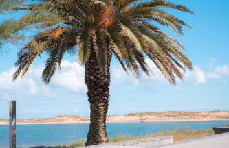 El mirador de Mogro - Foto 67